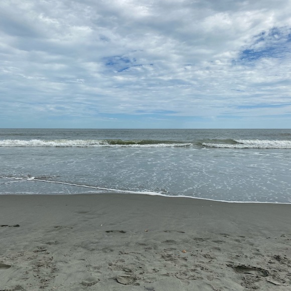 Meet your Posher, Dawn - Picture 1 of 1